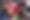 Enlarge the image