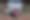 Enlarge the image